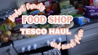 BUDGET FAMILY TESCO FOOD SHOP amp MEAL PLAN [upl. by Nalaf]