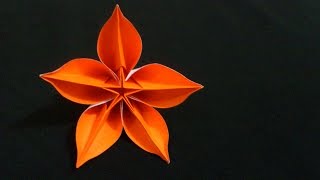 Cara Membuat Origami Bunga Carambola  Origami Bunga dan Tanaman [upl. by Lehrer211]