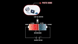 photodiode  photodiode class 12 physics  photodiode working  photodiode experiment [upl. by Maynard844]