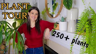 Full Houseplant Home Tour  250 Plants  My Entire Plant Collection [upl. by Warder]