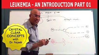 Leukemia  Causes and Symptoms  Part 13 [upl. by Arehsat]