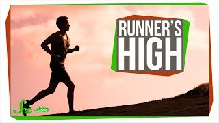 What Causes Runners High [upl. by Aretahs]