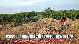 Penemuan Fosil Hewan Umur Jutaan Tahun Di Atas Gunung Puyur Kabuh Jombang [upl. by Yentruoc885]