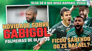 Gabigol no PALMEIRAS terá semana DECISIVA l Saiba quando ZÉ RAFAEL volta ao time l Veiga soltou essa [upl. by Susan]