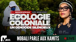 ECOLOGIE COLONIALE AVEC MAMA KOKO [upl. by Sivla]