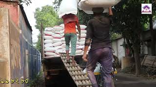 এখন রুপগঞ্জ নারায়নগঞ্জ এই পাচ্ছেন মৃত্তিকা গোখাদ্য০১৯৩১১৯৮২৮০ [upl. by Snell723]