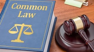 What is Common Law [upl. by Ssyla633]