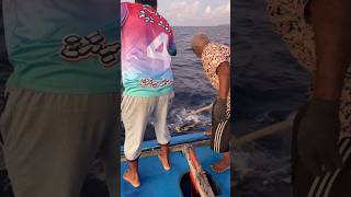 വലിയ കേര പിടിക്കുന്നത് കണ്ടാലോshortsfeed youtubeshorts fishing malayalamfishing biggfish [upl. by Hilten]