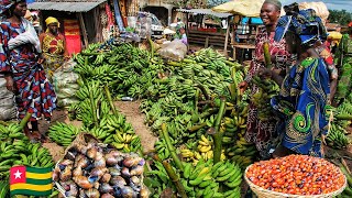 BIGGEST AND CHEAPEST FOOD AND ANIMAL MARKET TOGO WEST AFRICA 🌍 [upl. by Acirdna]