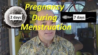 Pregnancy During Menstruation [upl. by Ikciv]