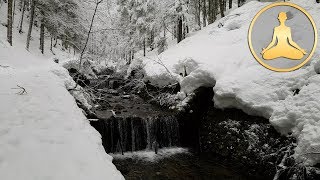 Forest Winter River  Snowy Stream  Relaxing Nature Sounds Ultra HD 4K [upl. by Nirmak]