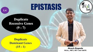 Genetics Duplicate Recessive and Duplicate Dominant Epistasis BScMSc SPPU Life Science [upl. by Ecal125]