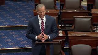 Thune Denounces Democrats’ Supreme Court Temper Tantrums [upl. by Erdreid]