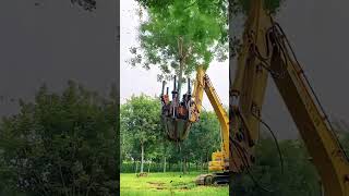 Tree Relocator Machine [upl. by Akehsar]