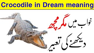 khwab mein magarmach dekhna  alligator in dream  khwab mein magarmach dekhne ki tabeer [upl. by Waugh]