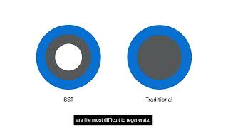 Ecolab Shallow Shell™ Technology [upl. by Anirak]