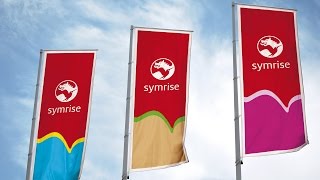 Symrise CEO Video 2017  Diversifying Success Successfully Diversifying [upl. by Akimyt]