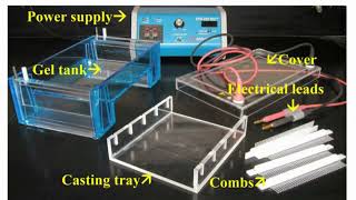 Gel Electrophoresis Casting Materials [upl. by Spalla]