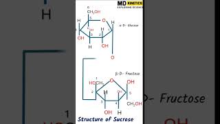 Biomolecules  Class 12  Part 2 shorts ytshorts viral disaccharides chemistry biomolecules [upl. by Kellia]