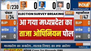 MP Election Opinion Poll 2023  मध्यप्रदेश के 230 सीटों पर सबसे ताजा ओपिनियन पोल  MP News [upl. by Aielam384]