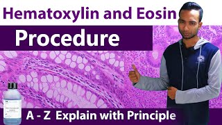 Hematoxylin and Eosin Staining Procedure  A  Z Explain with principles [upl. by Aleron]