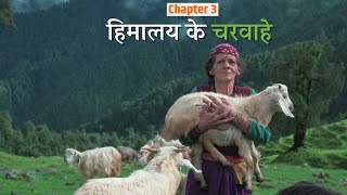 Living Shepherd’s Life  हिमालय के चरवाहे भैंसिया बुग्याल  Chapter 3 [upl. by Rachaba348]