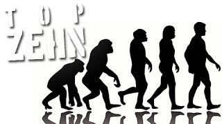 10 komische Fakten über die Evolution [upl. by Nnahoj]