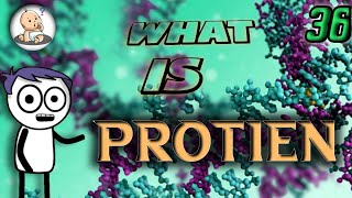 WHAT IS PROTEIN IN HINDI  Protein animation jiv vigyan protien [upl. by Pharaoh]