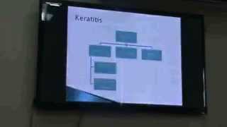 Ophthalmology  Dr Ahmed Mostafa  Corneal Anatomy amp Keratitis Part 1 [upl. by Clotilde]