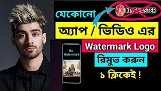 How to Remove Watermark from Photo and Video Properly  HitPaw Watermark Remover in bangla [upl. by Aneekan]