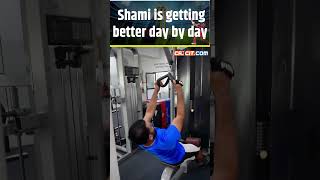 Cricket Mohammad Shami all set to make his comeback ytshorts [upl. by Adlemy]