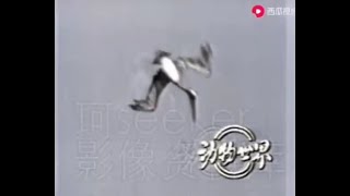 CCTV央视《动物世界》片尾曲 （Animal World ）（1981年 赵忠祥老师解说版） West Way  SKY [upl. by Andie591]