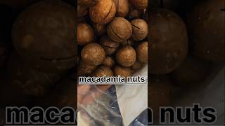 Macadamia nuts health benefits food shotrs rcmbussiness [upl. by Nnylrahc]