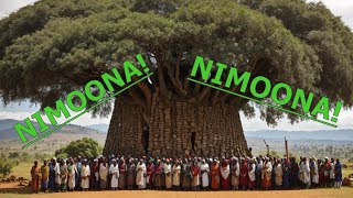 NIMOONA  Sirba Haaraa Weellisaa Liiban daadhii quotAbdiisaquot Anatu oromomusic [upl. by Alverta183]