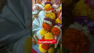 गणपती गणाधिशा🌺❤🙏trendingsongshortsbappatrendterndingsongsubscribe [upl. by Zelle]