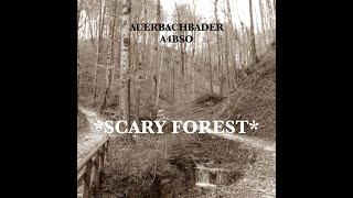 SCARY FOREST Soundscape [upl. by Thedrick]