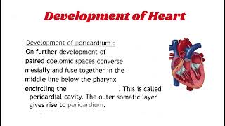 Development of Heart  Development of Pericardium developmentalbiology [upl. by Feodor182]