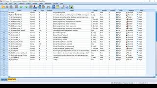 Data in SPSS invoeren  Instructie [upl. by Nnylodnewg]