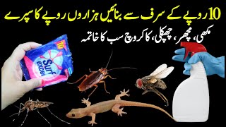 Get rid of mouse Mosquito Flies with homemade spray  Mosquito killer  Powerful Insects Killer [upl. by Warila]