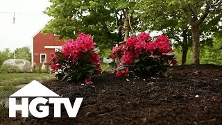 All About Azaleas  Gardening Tips  HGTV [upl. by Adnilym]