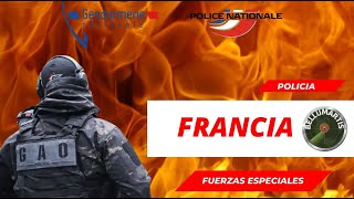 FUERZAS ESPECIALES de la Policia Nacional y de la Gendameria de FRANCIA [upl. by Horn]