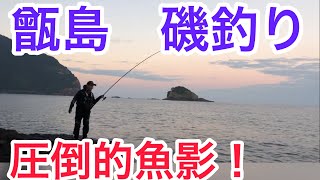 【磯釣り】鹿児島県 甑島でグレ釣り 尾長グレや湧きグレ乱舞！？ [upl. by Rokach116]