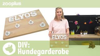 DIY Hundegarderobe selber machen  Tierisch einfach DIY mit Luisa  zooplus [upl. by Symons]