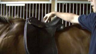 Saddle Fitting in 9 Steps  Step 1  Balance  by Schleese Saddlery Service [upl. by Perle763]