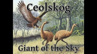 Ceolskog  Giant of the Sky Haasts Eagle Moa New Zealand Metal [upl. by Lazaro]