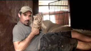 Kevin Richardson a very special Lioness amp her Cubs [upl. by Esorbma456]