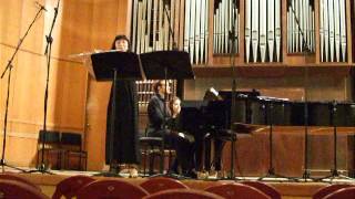 Devienne Flute Sonata in D major  2nd movement [upl. by Ahsoem]