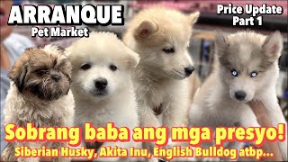 Arranque Pet Market Part 1  March 30 2023  Recto Manila [upl. by Enelegna]