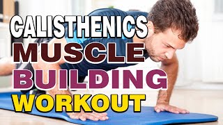 Calisthenics  Muscle building workout [upl. by Ainoek]