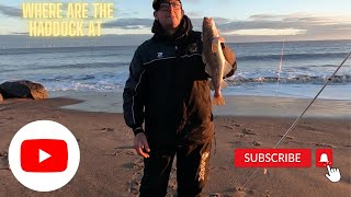 South Withernsea Cod Fishing codfishing seafishing [upl. by Traggat]